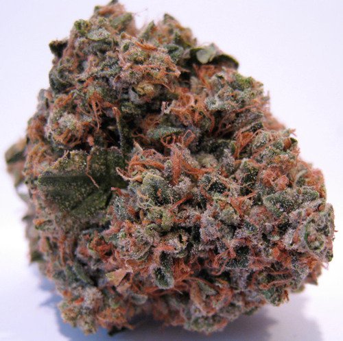 BUY GRAND DADDY PURPLE KUSH in FIJI